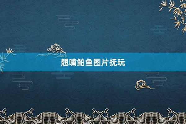 翘嘴鲌鱼图片抚玩