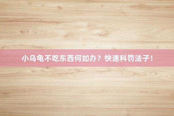 小乌龟不吃东西何如办？快速科罚法子！